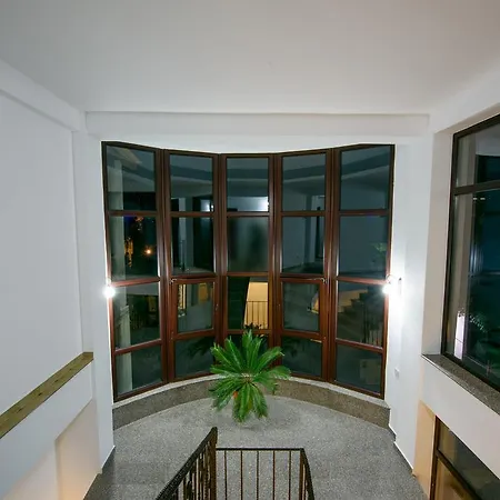 Puky ネプトゥン