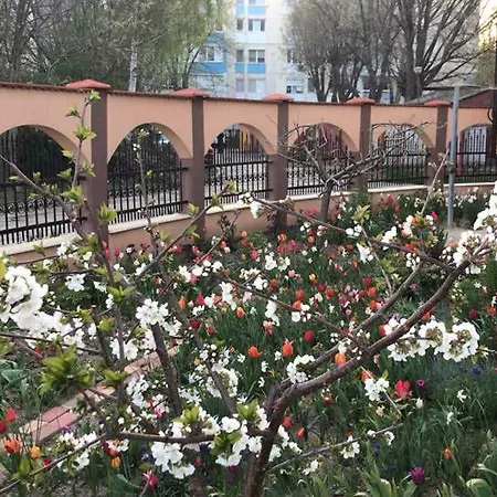 ゲストハウス Puky ネプトゥン