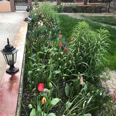 Puky ゲストハウス ネプトゥン