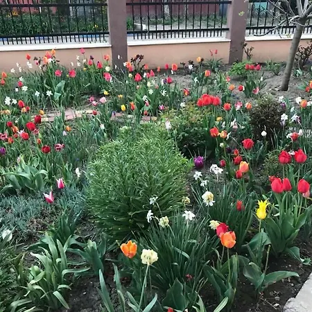 Puky ゲストハウス