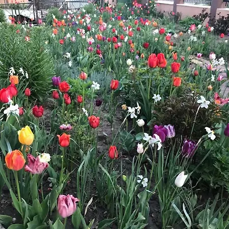 ゲストハウス Puky 4*